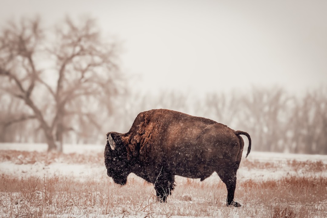 Rocky Mountain Arsenal National Wildlife Refuge