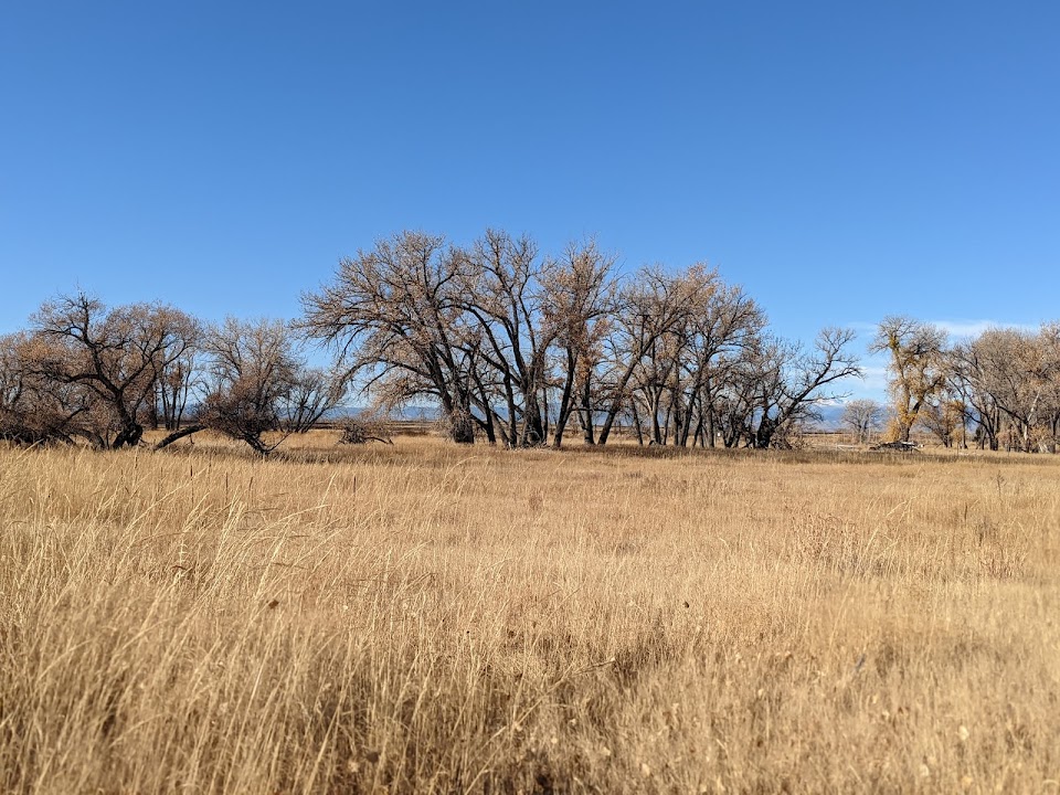 First Creek at DEN Open Space